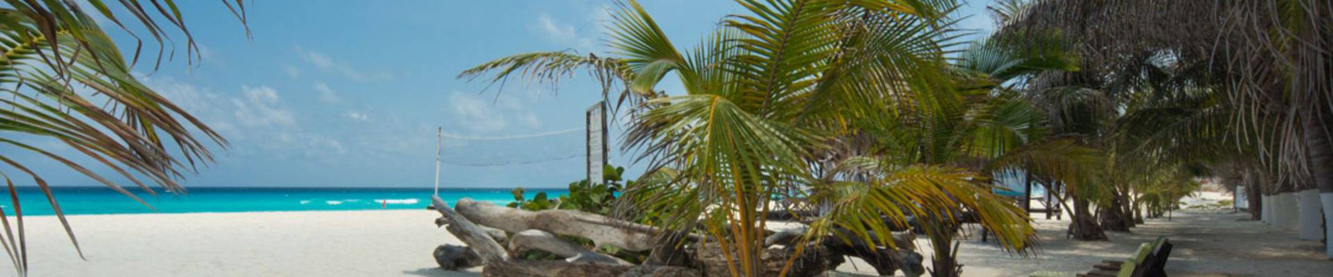 Flamingo Cancun Resort - Cancun - Flamingo Cancun Resort - Cancun -